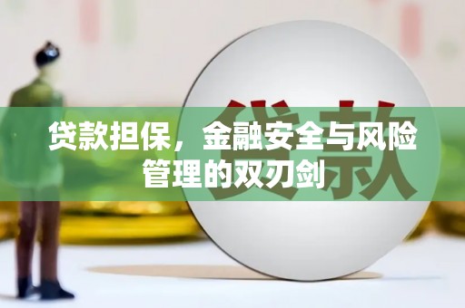 湘潭贷款担保，金融安全与风险管理的双刃剑
