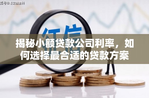 柯桥揭秘小额贷款公司利率，如何选择最合适的贷款方案