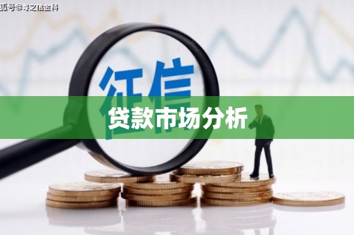 成功贷款市场分析