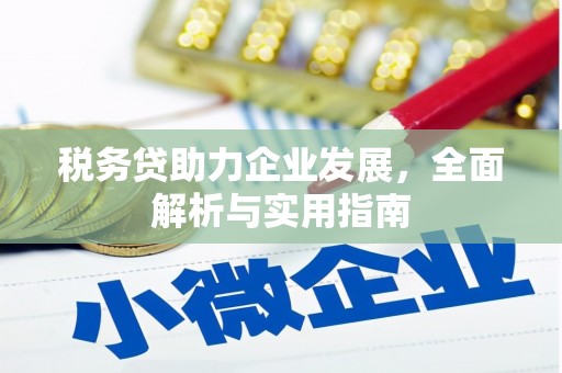 麦寮税务贷助力企业发展，全面解析与实用指南