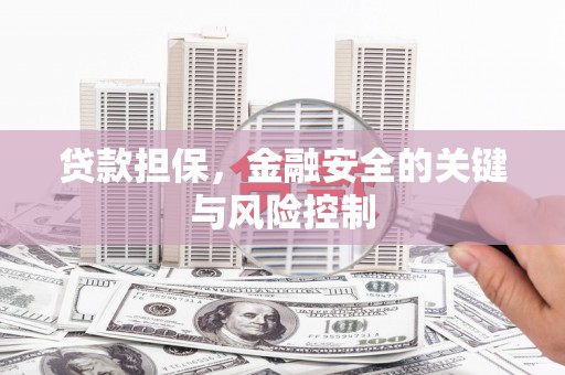 资中贷款担保，金融安全的关键与风险控制