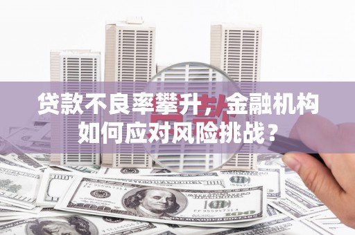 潢川贷款不良率攀升，金融机构如何应对风险挑战？