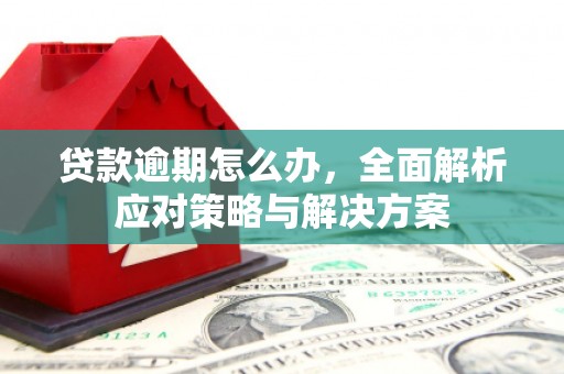 依兰贷款逾期怎么办，全面解析应对策略与解决方案