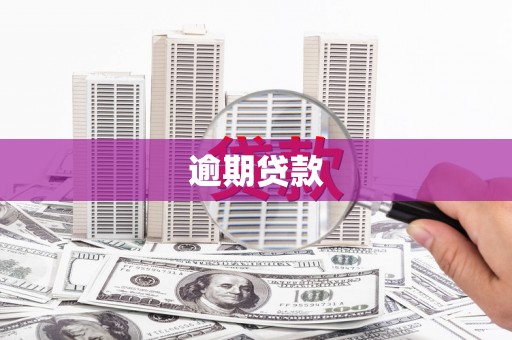 周至逾期贷款