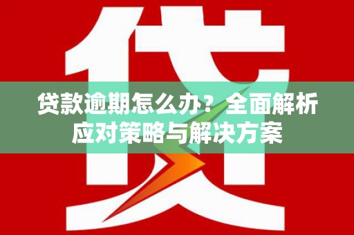 岭东贷款逾期怎么办？全面解析应对策略与解决方案
