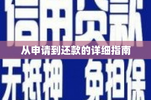 望奎从申请到还款的详细指南