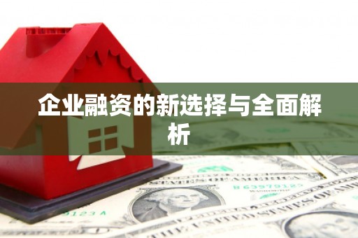文峰企业融资的新选择与全面解析