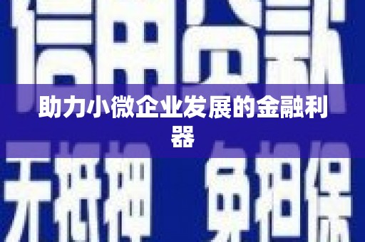 集贤助力小微企业发展的金融利器