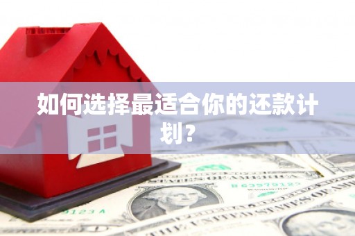 勉县如何选择最适合你的还款计划？