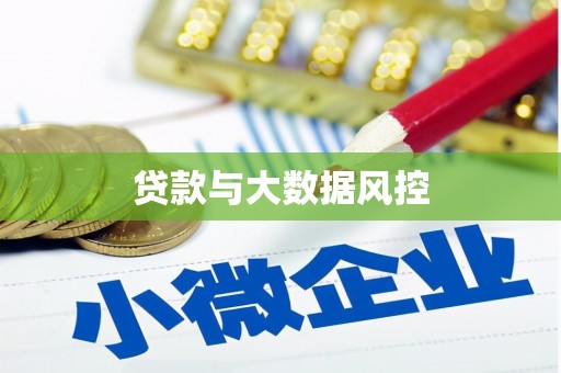 大邑贷款与大数据风控