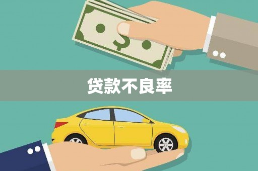 陆丰贷款不良率