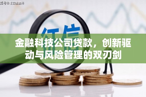 定海金融科技公司贷款，创新驱动与风险管理的双刃剑