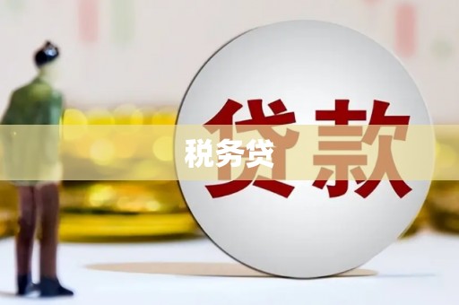 广东税务贷